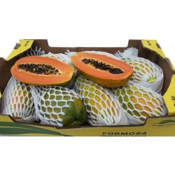 papaya-pawpaw-fruit